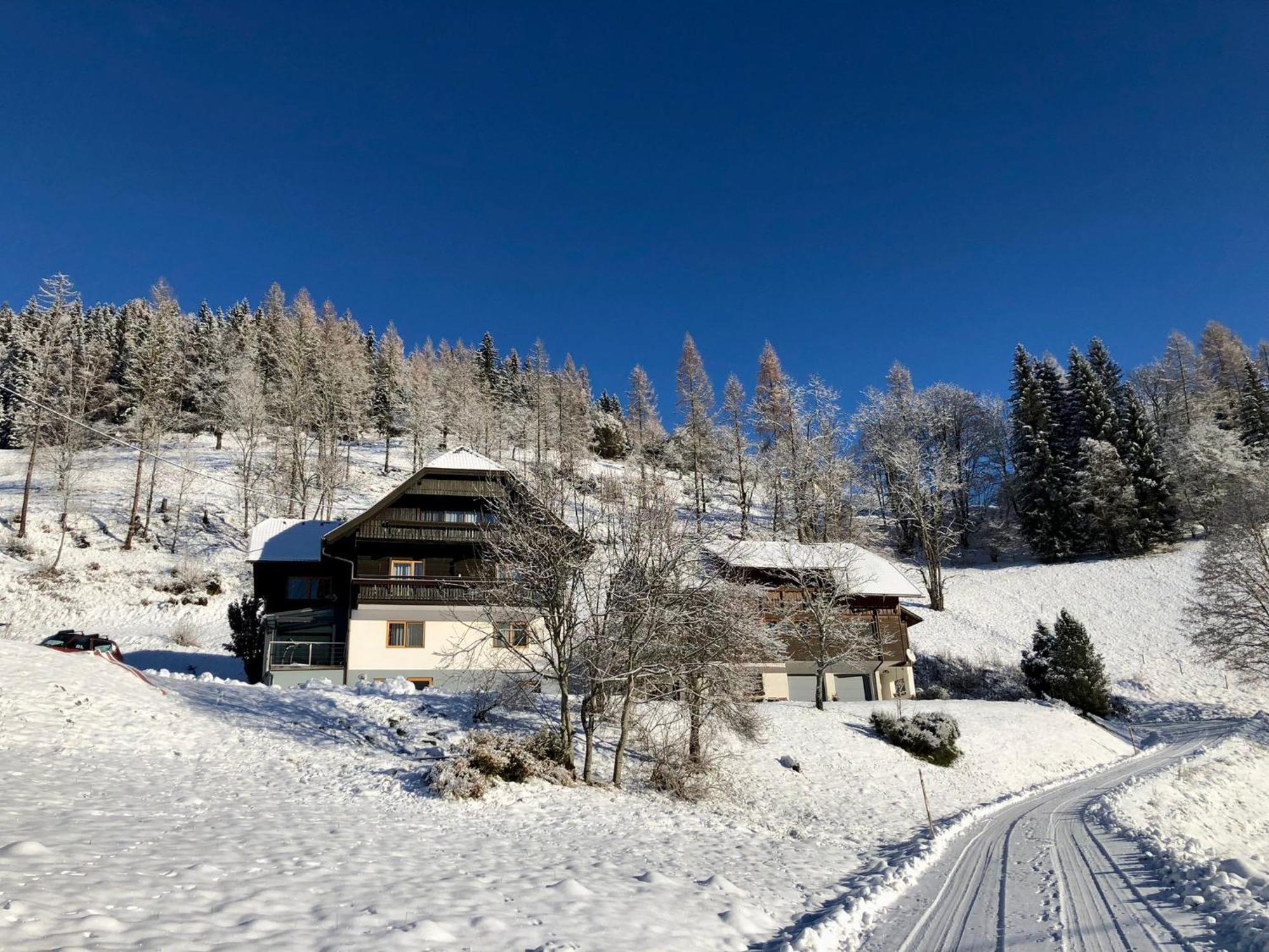 Appartement Vidmar-Wintertraum Arriach Εξωτερικό φωτογραφία